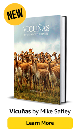 Vicuna Book